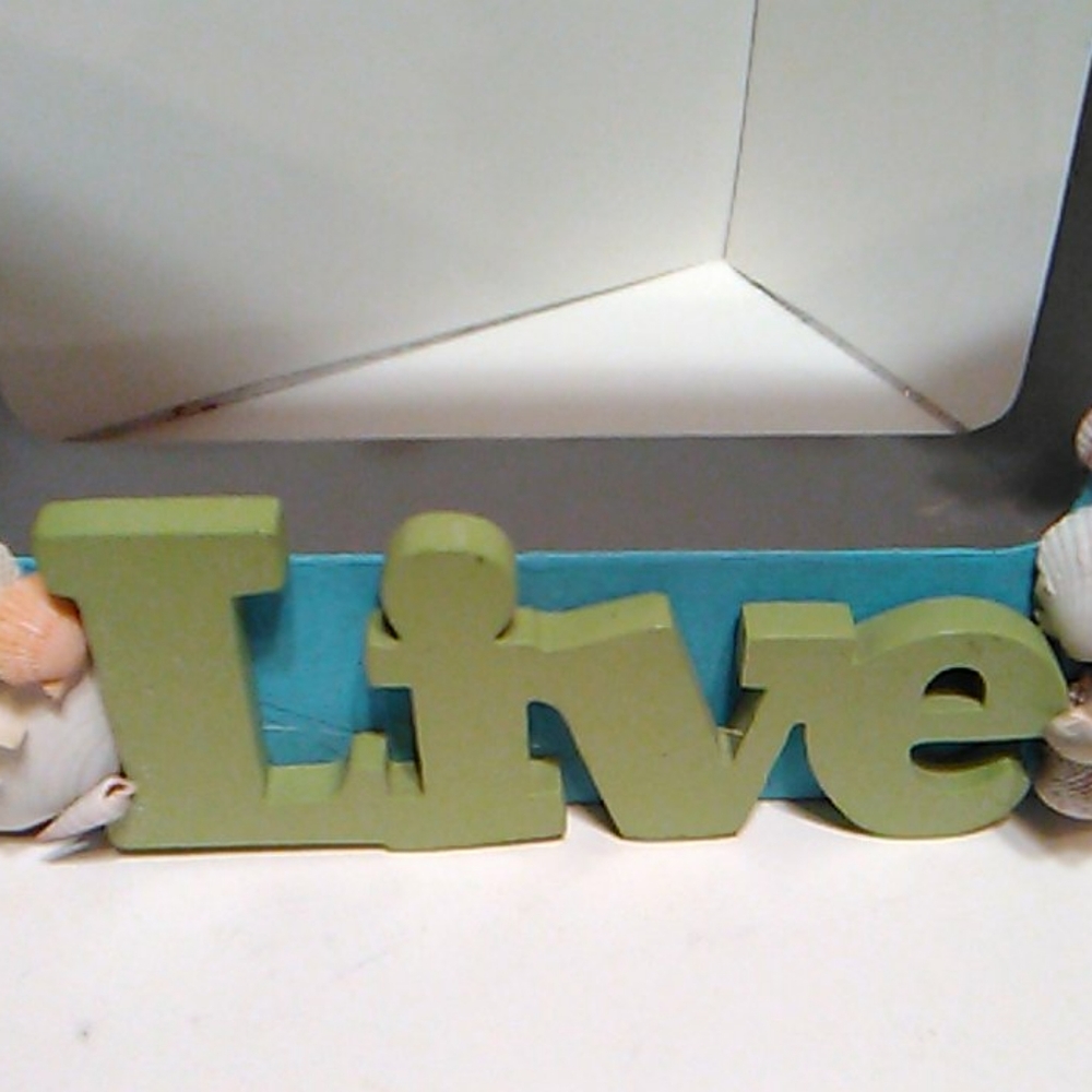Shell Shelf Sitter - Picture 2 of 14